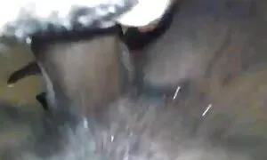 Ebony queen sikimə q ...